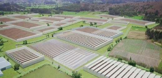 Clever Leaves se alía con Ethypharm para proveer cannabis medicinal en Alemania
