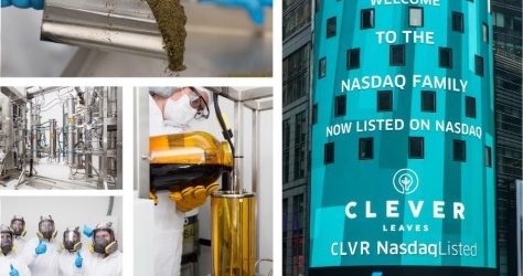 Ingresos de Clever Leaves crecieron 55% en 2020 pero perdió US$36,7 millones