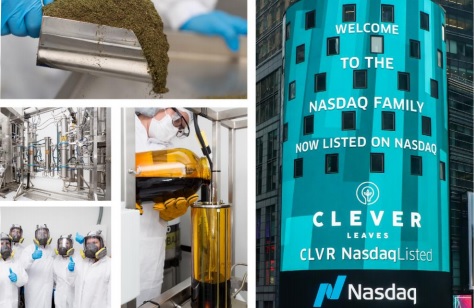 Ingresos de Clever Leaves crecieron 55% en 2020 pero perdió US$36,7 millones