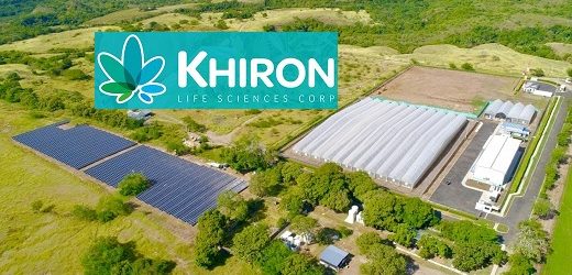 Khiron Life recibió cuotas de exportación de extracto de alto THC que otorgó Colombia a México