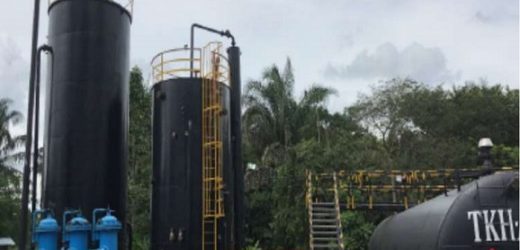 Arrow Exploration vendió 77,9% menos en primer trimestre y perdió apenas US$510 mil