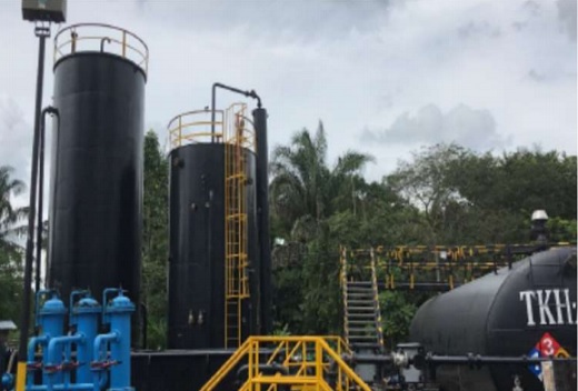 Arrow Exploration vendió 77,9% menos en primer trimestre y perdió apenas US$510 mil