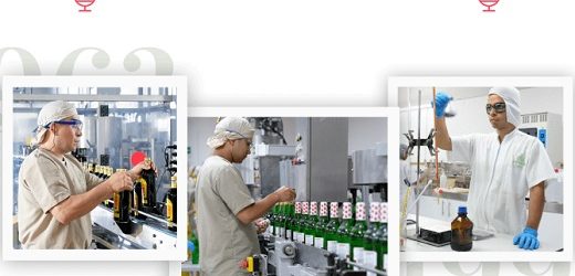Productora de los tradicionales Vino Cariñoso y Sansón entró en la era del e-commerce