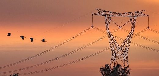 Caída del 7,48% de acción del Grupo Energía Bogotá: más allá del rebalanceo del Msci Colcap ¿habrá venta de una tajada?