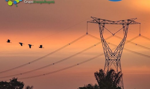 Caída del 7,48% de acción del Grupo Energía Bogotá: más allá del rebalanceo del Msci Colcap ¿habrá venta de una tajada?