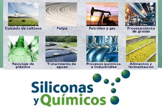 Cofundador De Quala Y Bretano Ciento Once Vendieron Importadora De Quimicos A Holandesa Imcd Halcones Y Palomas