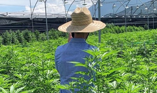 Tres nuevos miembros en la Junta Directiva de la cannabiera Avicanna