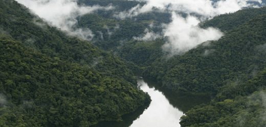 Celsia Colombia deberá pagar $142.800 millones de la indemnización por $204 mil millones a la comunidad de Bajo Anchicayá