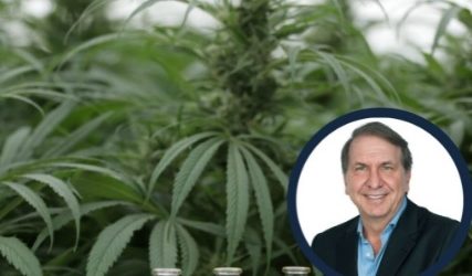 PharmaCielo realizó el envío inicial de cannabidiol aislado (CBD) a empresa canadiense