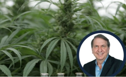 PharmaCielo realizó el envío inicial de cannabidiol aislado (CBD) a empresa canadiense
