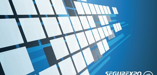 Declarada desierta primera etapa para enajenación del 50,02% de la Nación en Segurexpo