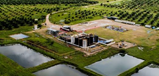 US$70 millones invertirán en 2021 Ecopetrol y Parex en Bloque Arauca en el que se asociaron