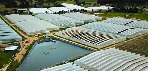 Clever tiene pérdidas acumuladas por US$91,7 millones tras rojo de US$22,7 millones en el primer semestre de 2021