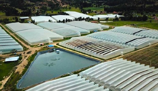 Clever tiene pérdidas acumuladas por US$91,7 millones tras rojo de US$22,7 millones en el primer semestre de 2021