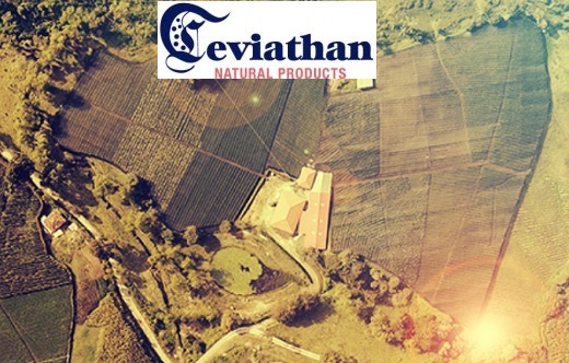 Canadiense Leviathan completó compra por $497 millones de colombiana de cannabis Natural Origins