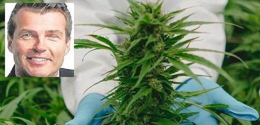 Bill Petron nuevo chief executive officer de PharmaCielo: el cuarto CEO en 32 meses