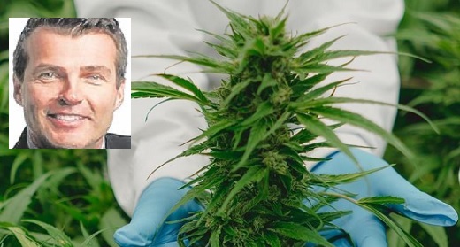 Bill Petron nuevo chief executive officer de PharmaCielo: el cuarto CEO en 32 meses