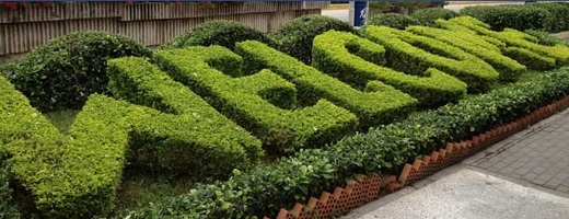 Ecosembrar consiguió $320 millones en a2censo a través del programa de Grupo Argos para impulsar proveedores