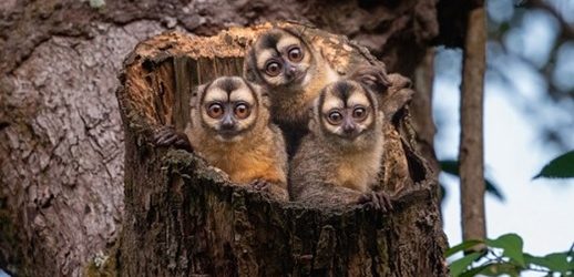Gustavo Garcés Villa, de Colombia, ganó el Gran Premio Explora Latinoamérica de fotografía
