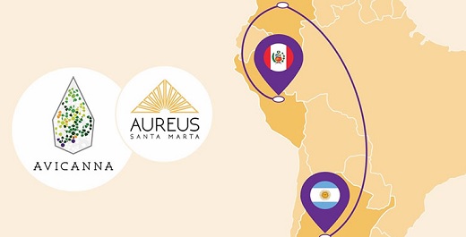 Avicanna levantó US$3,15 millones para producción, investigación y desarrollo clínico de cannabis