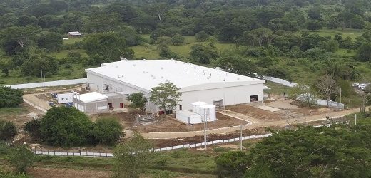 Tras invertir $34 mil millones, Cargill inauguró en Bolívar planta Incubadora de más de ocho millones de pollos mensuales