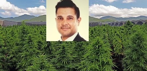 Cofundador de Avicanna deja la Presidencia y de ser director legal de la cannabiera
