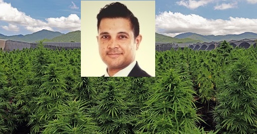 Cofundador de Avicanna deja la Presidencia y de ser director legal de la cannabiera