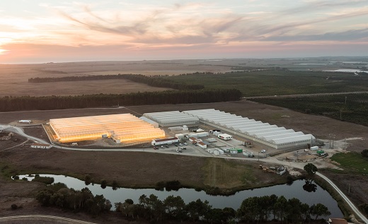 Autoridad sanitaria portuguesa autorizó expansión de Clever Leaves que espera diversificar su potencial exportador