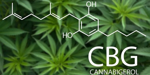 Primer envío de “cannabis raro” desde Colombia: Avicanna completó primera exportación de CBG a la Unión Europea