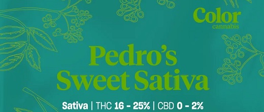 Flora Growth nombra asesor al especialista en genética y cultivo en cannabis Derek Pedro