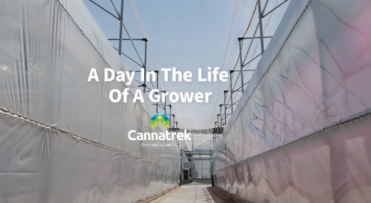 Clever Leaves amplía su relación con Cannatrek en Australia al acordar ventas de US$3,6 millones por dos años