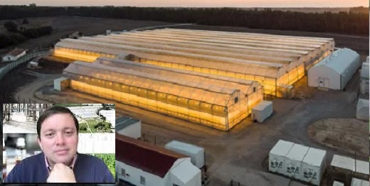 Clever Leaves Holdings Inc decidió liquidar sus operaciones en Portugal y despedir 63 empleados al arrancar reestructuración de sus negocios