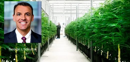 Experto en inversiones bajo estress se queda con el 8% de cannabiera Clever Leaves y entra en su Junta Directiva