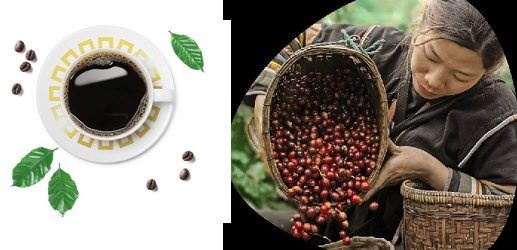 “¡Adiós Nespresso. Nos vemos Starbucks!: PharmaCosta lanza “La Tribu, Coffee” 100% colombiano