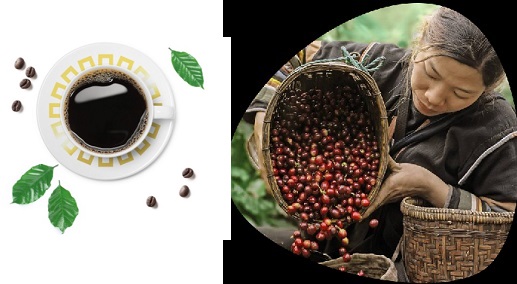 “¡Adiós Nespresso. Nos vemos Starbucks!: PharmaCosta lanza “La Tribu, Coffee” 100% colombiano