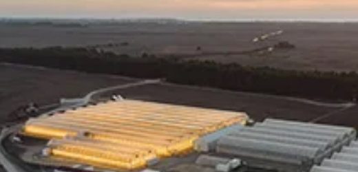 Clever Leaves arrojó pérdidas por US$45,7 millones en 2021, pero registró ingresos un 27% mayores