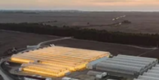 Clever Leaves arrojó pérdidas por US$45,7 millones en 2021, pero registró ingresos un 27% mayores