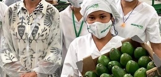 Grupo israelí Mana triplica apuesta en Colombia e invertirá US$70 millones en terrenos y cultivos de aguacates