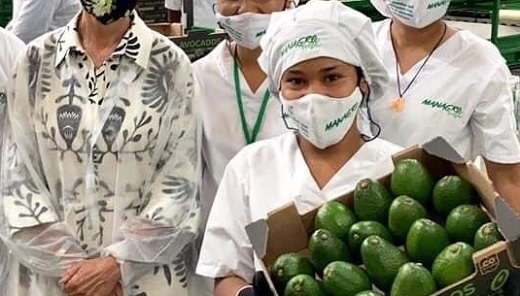 Grupo israelí Mana triplica apuesta en Colombia e invertirá US$70 millones en terrenos y cultivos de aguacates