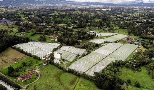 PharmaCielo Ltd. perdió US$2,2 millones en el primer trimestre y acumula un déficit de U$$134 millones