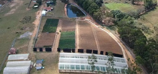 Allied, primera empresa en realizar envío comercial de cannabis seco al exterior (y desde Colombia)