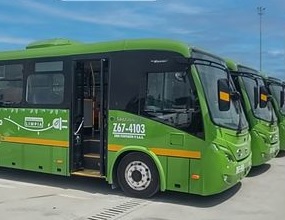 buses eléctricos