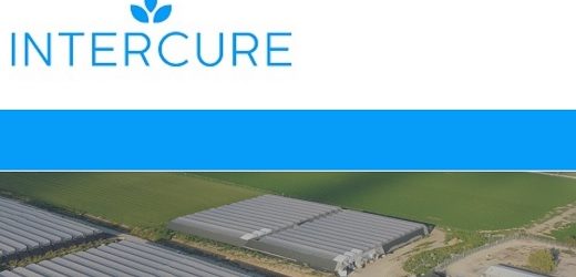 Clever Leaves realizó primera exportación de flores con alto contenido de THC a su socio israelí InterCure