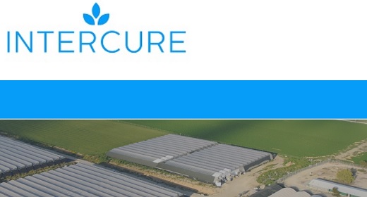 Clever Leaves realizó primera exportación de flores con alto contenido de THC a su socio israelí InterCure