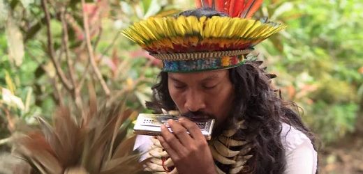 Rhythmia Life designa al taita inga Juanito Chindoy, chamán y líder espiritual de sus ceremonias de medicina vegetal