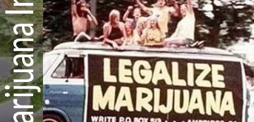 Nace Marijuana Inc. que exportará cepas colombianas de cannabis: Santa Marta Gold, Punto Rojo y Mango Biche