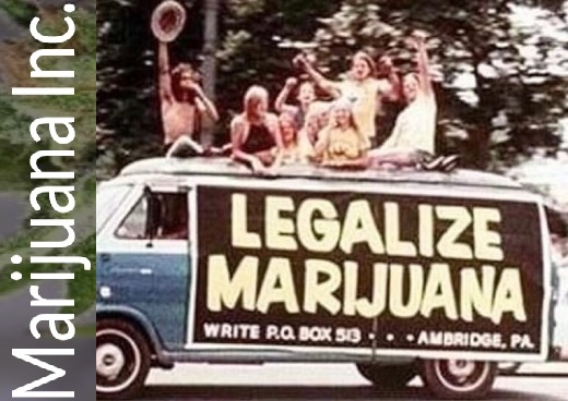 Nace Marijuana Inc. que exportará cepas colombianas de cannabis: Santa Marta Gold, Punto Rojo y Mango Biche