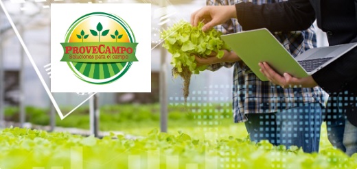 El Grupo Lavoro adquirió Provecampo, distribuidora de insumos agrícolas en Colombia