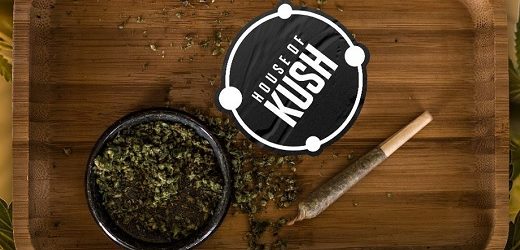 Clever Leaves producirá flores fumables de cannabis (alto contenidod THC) para House of Kush de E.U.