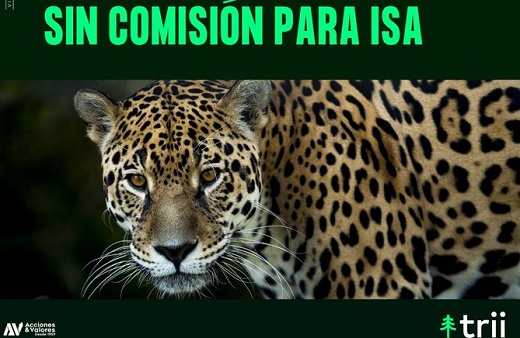 trii: este jueves no habrá comisión para las primeras 3.000 operaciones de compra y venta de ISA que se realicen durante la jornada